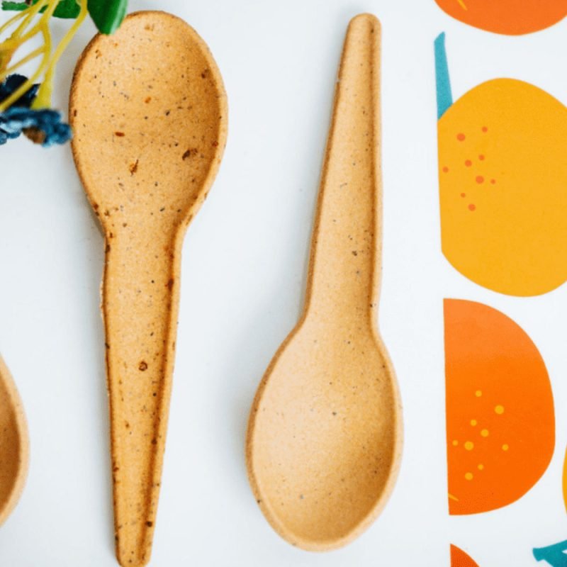 IncrEdible Eats Spoons On Shark Tank Season 13