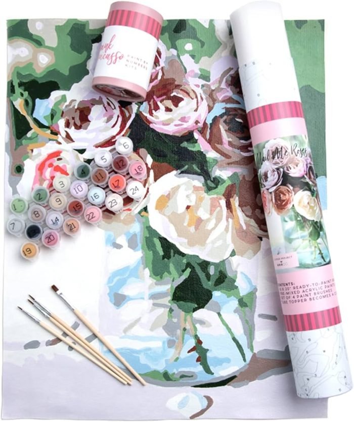 Pink Picasso Paint by Numbers Kits On Shark Tank Update
