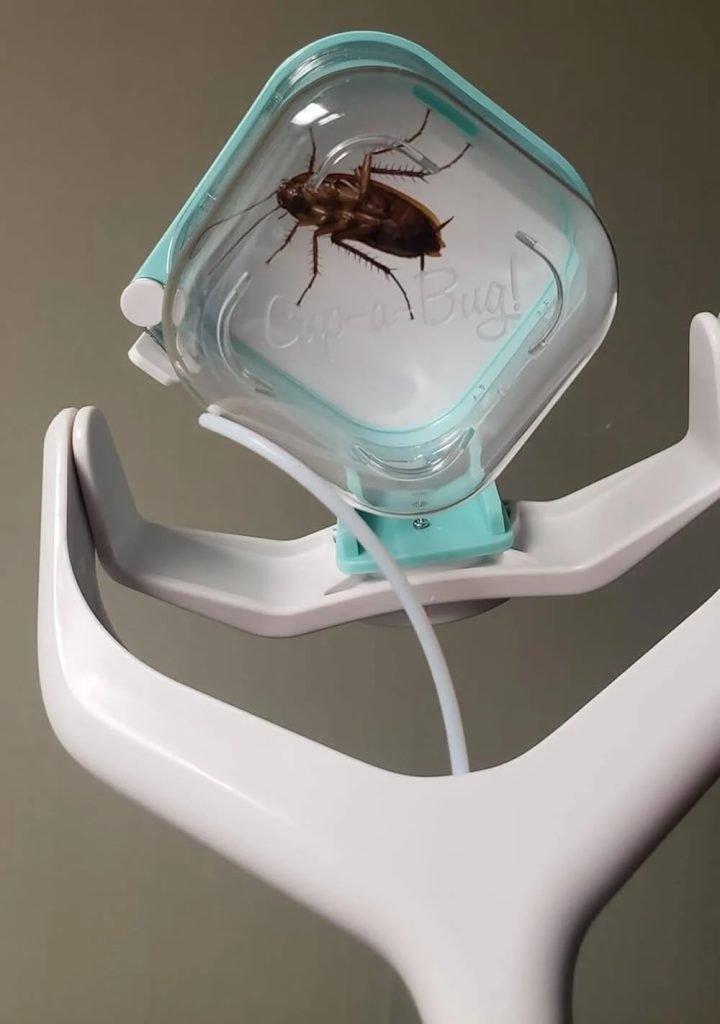 Cup-A-Bug Humane Bug Catcher Shark Tank Episode Update & Net Worth