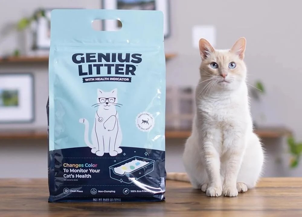 Genius Litter Shark Tank Episode Update & Net Worth
