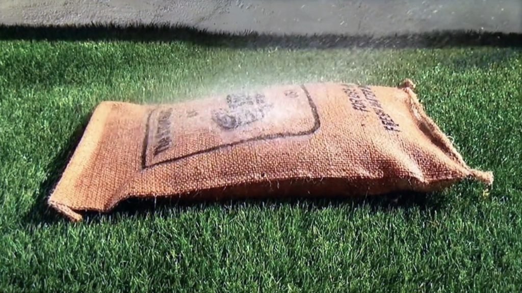 Storm Bag Shark Tank Episode S15 E2 Update & Net Worth