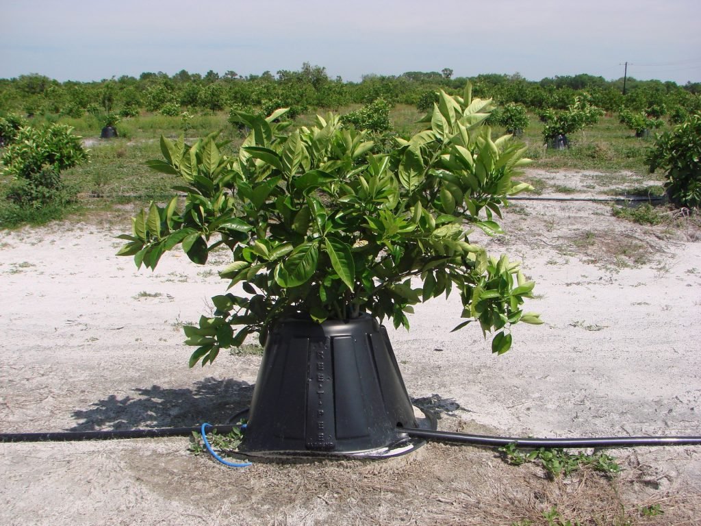 Shark Tank Farmer Tree T-pee Episode 7 