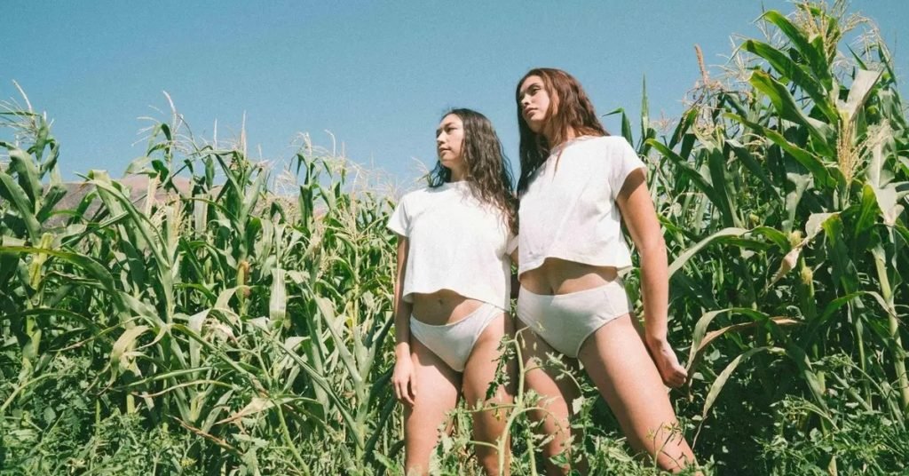 Kent Underwear Shark Tank Episode 1 Update